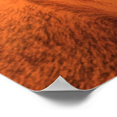 Paarden terug met western zadel poster (Hoek)