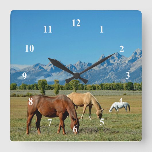 Paarden Teton bergen Landschapsfoto Vierkante Klok (Voorkant)