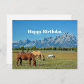 Paarden Teton Mountains Landscape Foto Briefkaart (Voorkant / Achterkant)