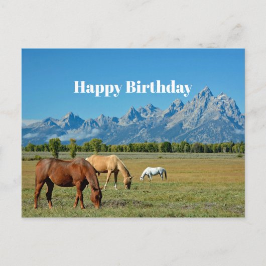 Paarden Teton Mountains Landscape Foto Briefkaart (Voorkant)