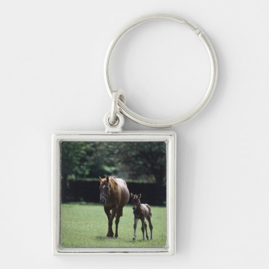 Paarden - Thoroughbred, Mare and Foal Sleutelhanger (Voorkant)