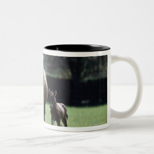 Paarden - Thoroughbred, Mare and Foal Tweekleurige Koffiemok