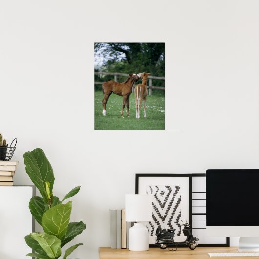 Paarden - Thoroughbreds, Foals, Poster (Thuiskantoor)