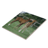 Paarden - Thoroughbreds, Foals, Tegeltje (Zijkant)