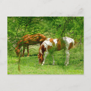 Paarden Thru laat Sjabloon aangepast Briefkaart