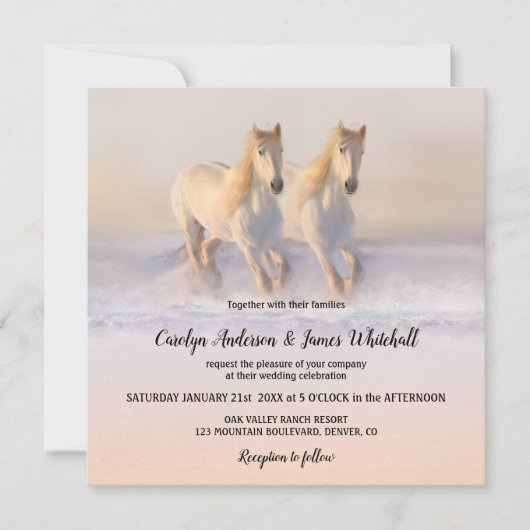 Paarden tijdens winterweddenschappen op sneeuw kaart (Voorkant)