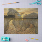 Paarden Tissuepapier (Craft)