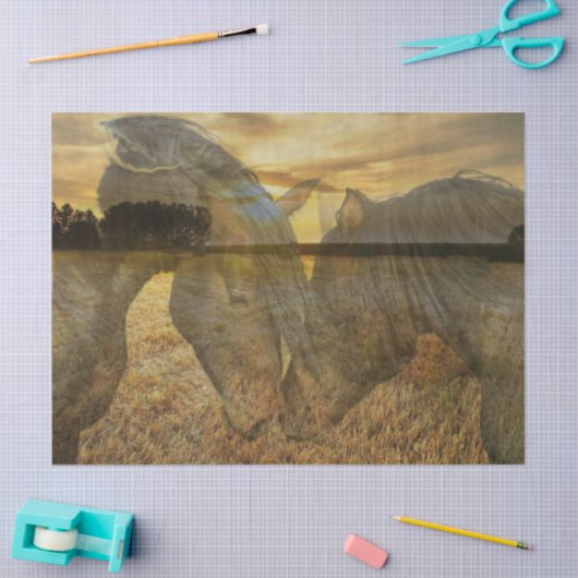 Paarden Tissuepapier (Craft)