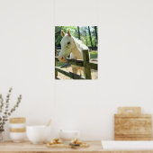 Paarden toepassen poster (Keuken)