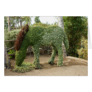 Paarden Topiary Greeeting Card