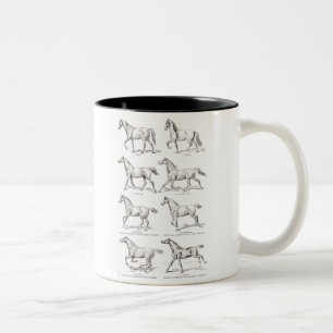  paarden uit de jaren 1800, die geïllustreerd zij tweekleurige koffiemok