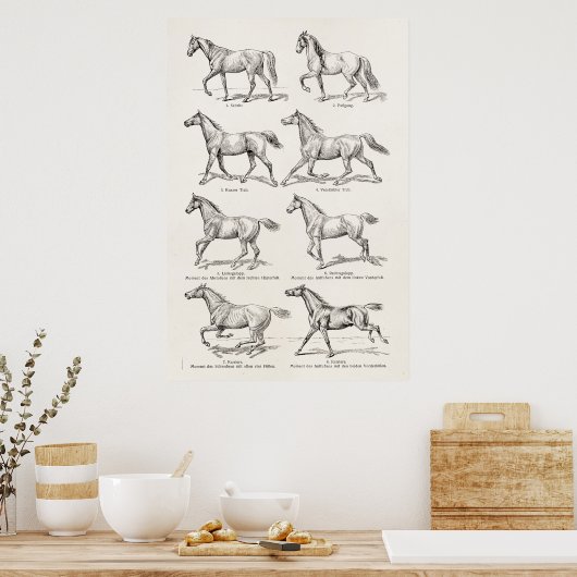  paarden uit de jaren 1800, die geïllustreerd zijn poster (Keuken)