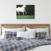Paarden van Appaloosa die 1 lopen Canvas Afdruk (Insitu (Slaapkamer))