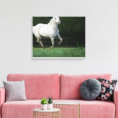 Paarden van Appaloosa die 1 lopen Canvas Afdruk (Insitu (Woonkamer))