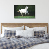 Paarden van Appaloosa die 1 lopen Canvas Afdruk (Insitu (Slaapkamer))