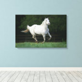Paarden van Appaloosa die 1 lopen Canvas Afdruk (Insitu (Houten vloer))