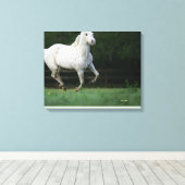 Paarden van Appaloosa die 1 lopen Canvas Afdruk (Insitu (Houten vloer))