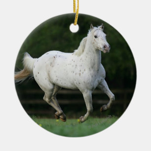 Paarden van Appaloosa die 1 lopen Keramisch Ornament