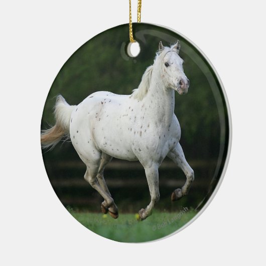 Paarden van Appaloosa die 1 lopen Keramisch Ornament (Links)