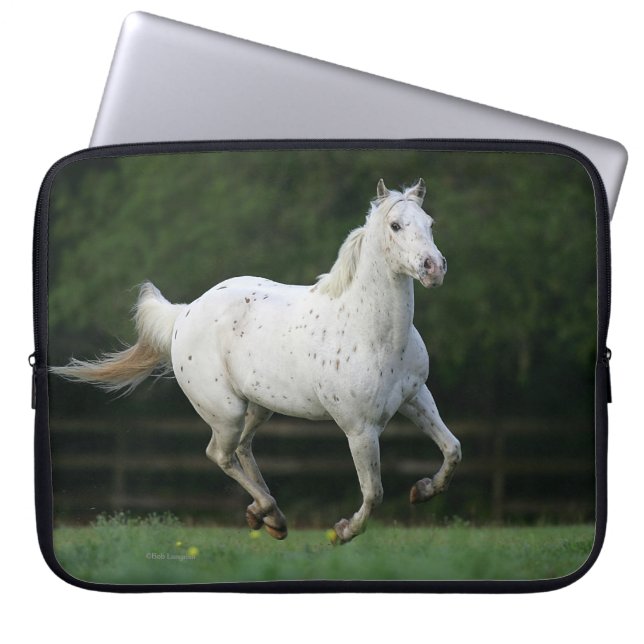 Paarden van Appaloosa die 1 lopen Laptop Sleeve (Voorkant)