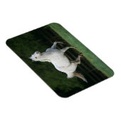 Paarden van Appaloosa die 1 lopen Magneet (Rechterzijde)