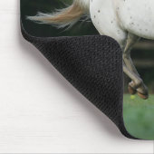 Paarden van Appaloosa die 1 lopen Muismat (Hoek)