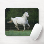 Paarden van Appaloosa die 1 lopen Muismat (Met muis)