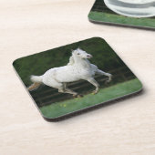 Paarden van Appaloosa die 1 lopen Onderzetter (Linkerzijde)