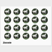 Paarden van Appaloosa die 1 lopen Ronde Sticker (Vel)