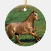 Paarden van Appaloosa die in Grassy Field lopen Keramisch Ornament (Voorkant)