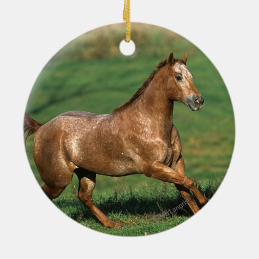 Paarden van Appaloosa die in Grassy Field lopen Keramisch Ornament (Achterkant)