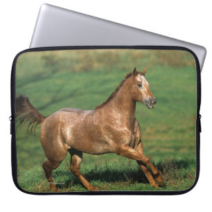 Paarden van Appaloosa die in Grassy Field lopen Laptop Sleeve