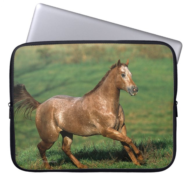 Paarden van Appaloosa die in Grassy Field lopen Laptop Sleeve (Voorkant)