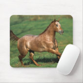Paarden van Appaloosa die in Grassy Field lopen Muismat (Met muis)