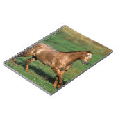 Paarden van Appaloosa die in Grassy Field lopen Notitieboek (Linkerzijde)
