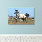 Paarden van Appaloosa die lopen 3 Canvas Afdruk (Insitu (Houten vloer))