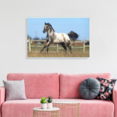 Paarden van Appaloosa die lopen 3 Canvas Afdruk (Insitu (Woonkamer))
