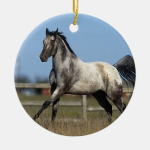 Paarden van Appaloosa die lopen 3 Keramisch Ornament
