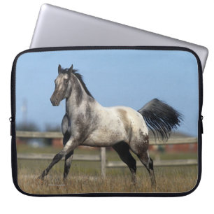 Paarden van Appaloosa die lopen 3 Laptop Sleeve