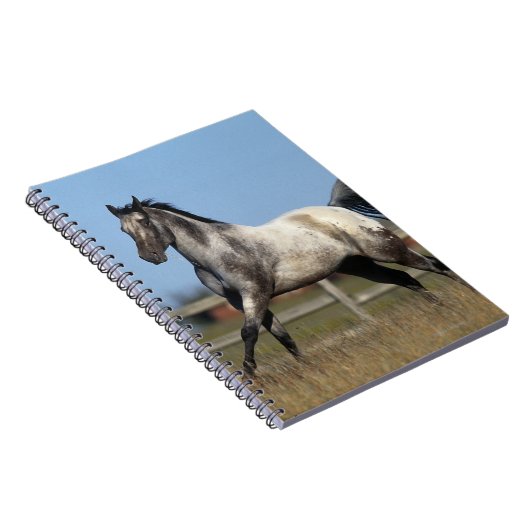 Paarden van Appaloosa die lopen 3 Notitieboek (Rechterzijde)