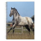 Paarden van Appaloosa die lopen 3 Notitieboek (Voorkant)