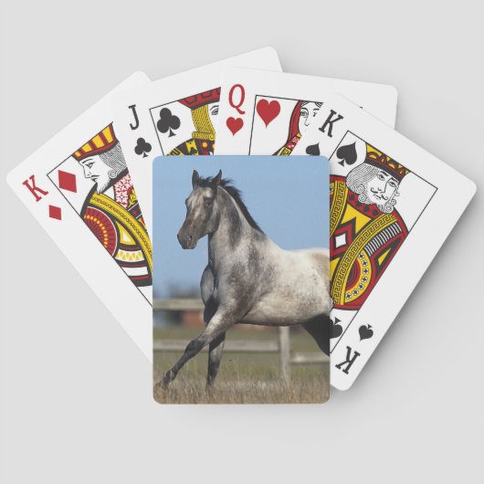 Paarden van Appaloosa die lopen 3 Pokerkaarten (Achterkant)