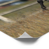 Paarden van Appaloosa die lopen 3 Poster (Hoek)