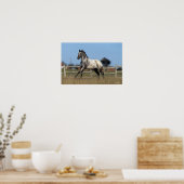 Paarden van Appaloosa die lopen 3 Poster (Keuken)