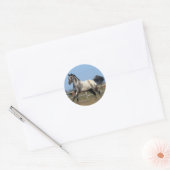 Paarden van Appaloosa die lopen 3 Ronde Sticker (Envelop)