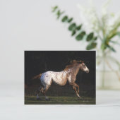 Paarden van Appaloosa die lopen 4 Briefkaart (Staand voorkant)