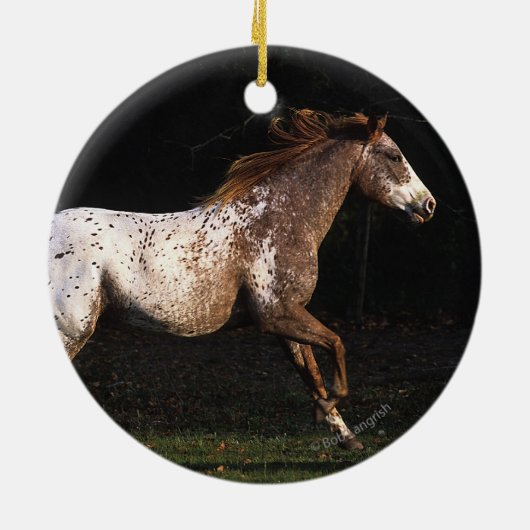 Paarden van Appaloosa die lopen 4 Keramisch Ornament (Achterkant)