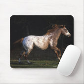 Paarden van Appaloosa die lopen 4 Muismat (Met muis)