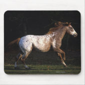 Paarden van Appaloosa die lopen 4 Muismat (Voorkant)