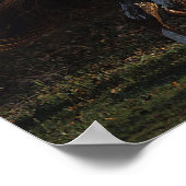 Paarden van Appaloosa die lopen 4 Poster (Hoek)